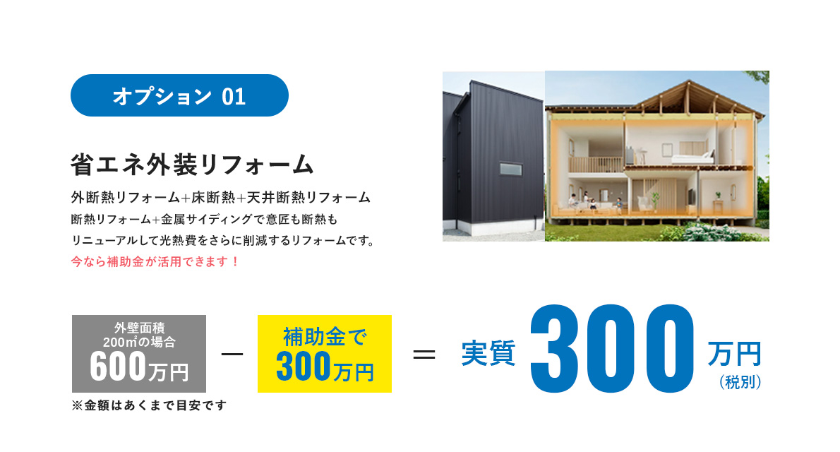 オプション 01 省エネ外装リフォームの場合実質300万円(税別)